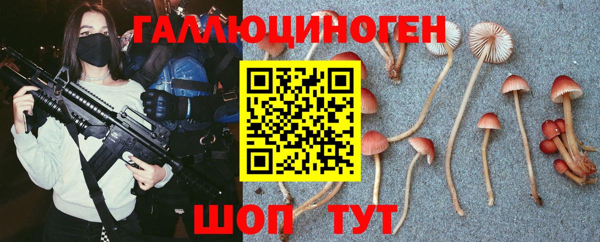Сибай  Галлюциногенные грибы Psilocybe  Вход с VPN 