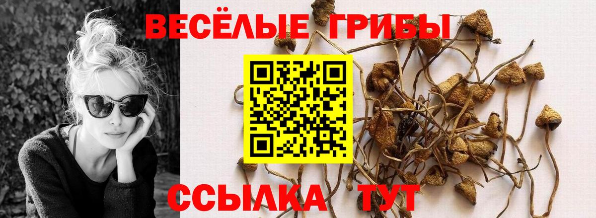 Галлюциногенные грибы Magic Shrooms Сибай